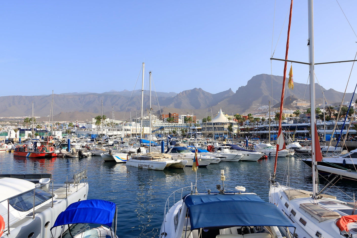 Porto Colón, Santa Cruz de Tenerife, Tenerife, Spagna: ormeggi e vista sul porto turistico con Eberths.com