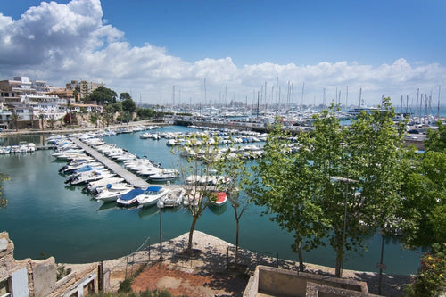 Calanova Port Olimpic 