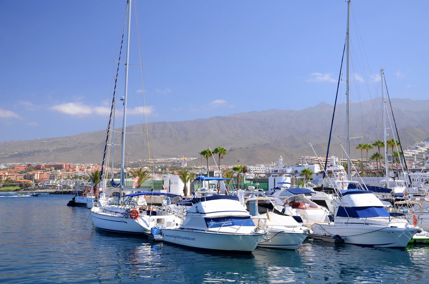 Club Náutico Puerto Colón de Adeje σε Adeje, Τενερίφη, Ισπανία – θέσεις ελλιμενισμού γιοτ και θέα στη μαρίνα με το Eberths.com