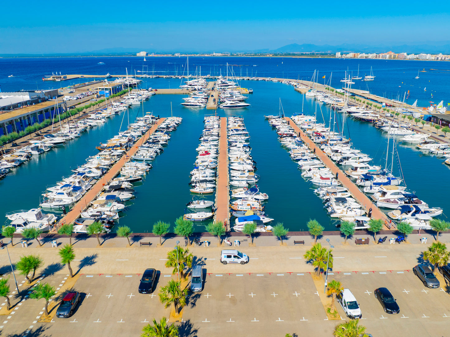 Port Roses
