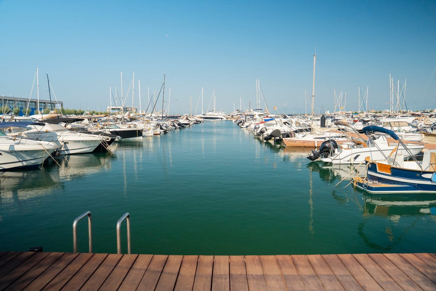 Port Roses