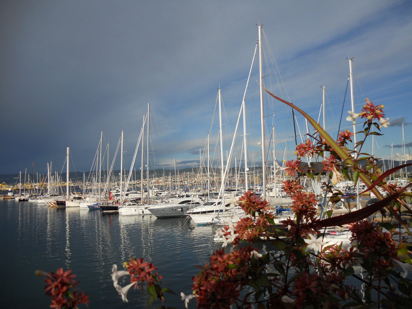 Porto San Rocco