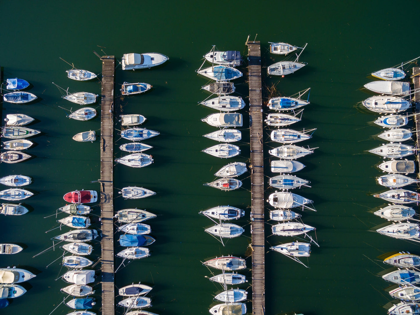 Port de la Capte, Hyères, Riviera Francesa: amarres para barcos y vistas al puerto deportivo con Eberths.com
