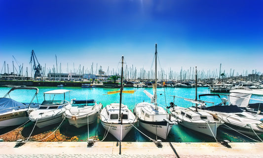 La Lonja Marina Charter, Palma de Mallorca, Spagna: ormeggi e vista sul porto turistico con Eberths.com