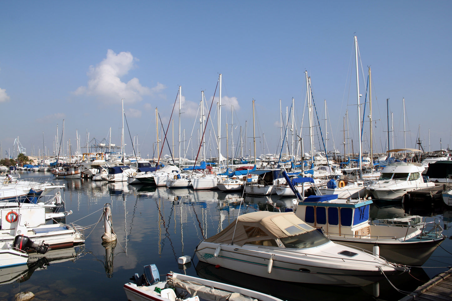 Larnaca Marina, Larnaca, Cipro: ormeggi per barche e vista sul porto turistico con Eberths.com