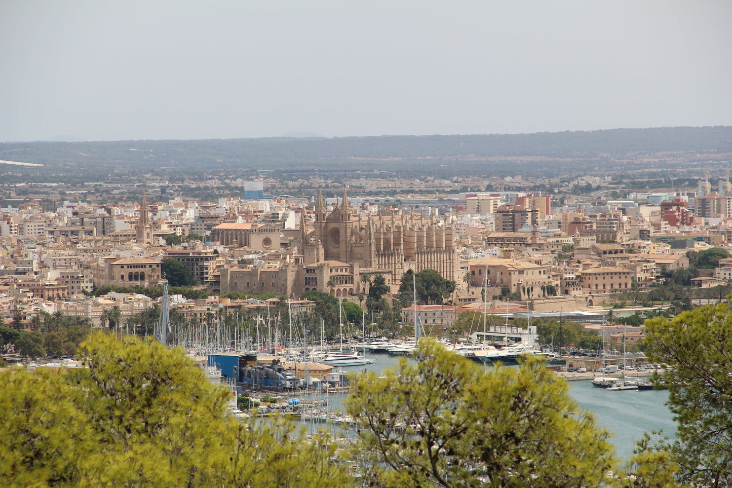 Pantalán del Mediterráneo, Palma de Mallorca, Spagna: ormeggi e vista sul porto turistico con Eberths.com