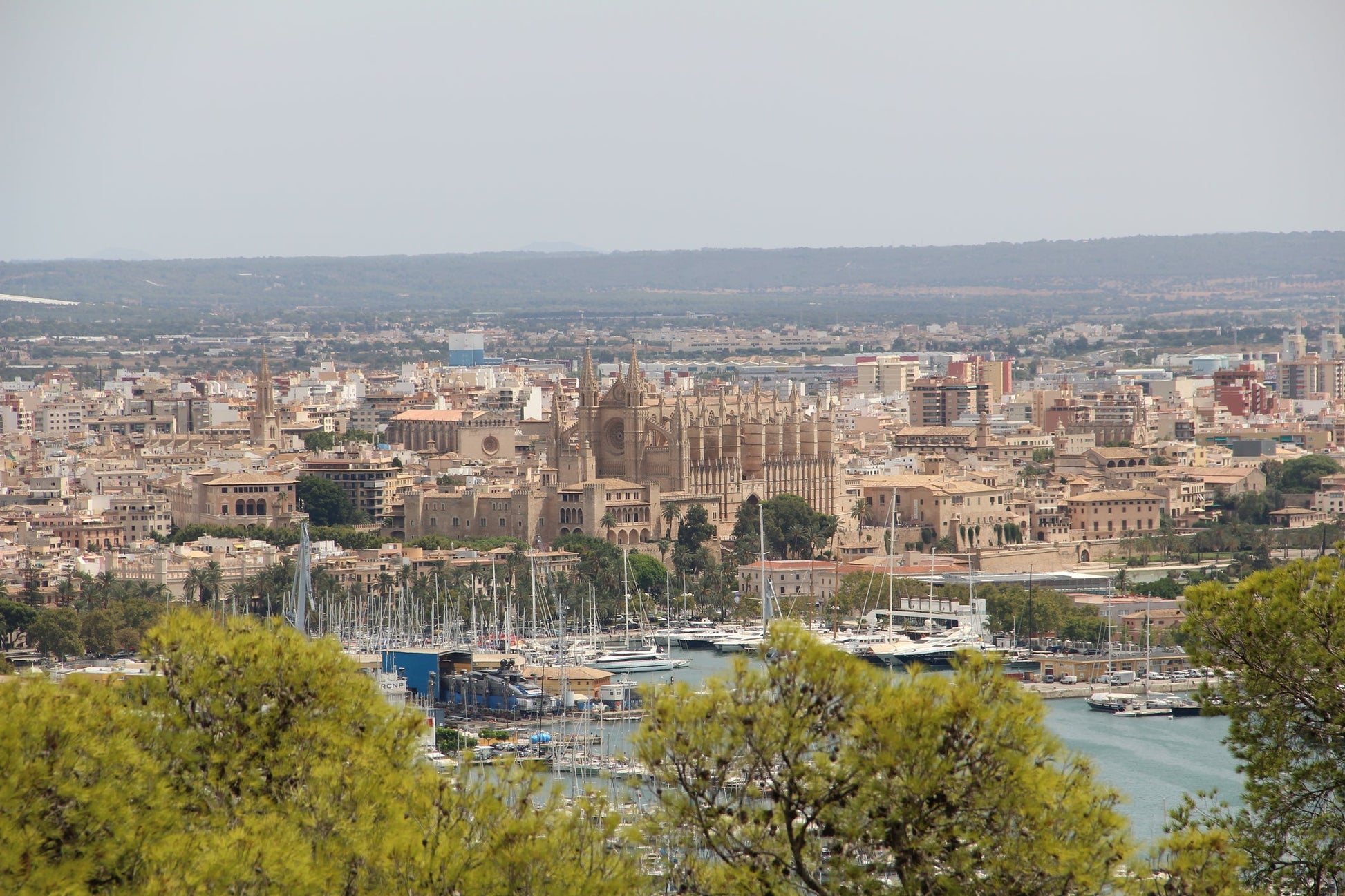 Pantalán del Mediterráneo, Palma de Mallorca, Spagna: ormeggi e vista sul porto turistico con Eberths.com
