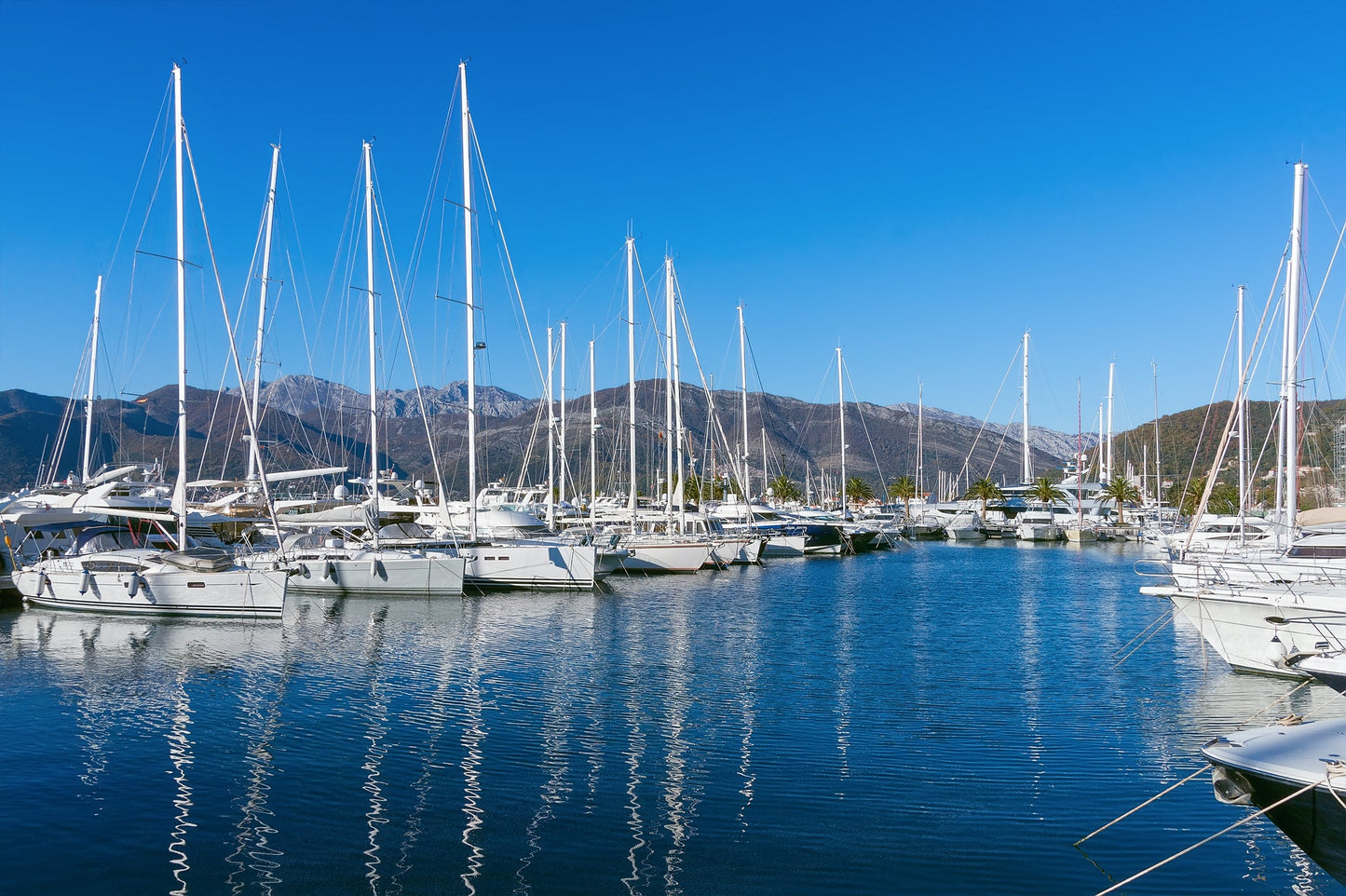 Porto Monténégro à Tivat, Monténégro – postes d’amarrage pour bateaux et vue sur le port de plaisance avec Eberths.com