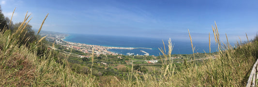 Vibo Valentia Marina Stella del Sud, Vibo Valentia: ormeggi e vista sul porto turistico con Eberths.com