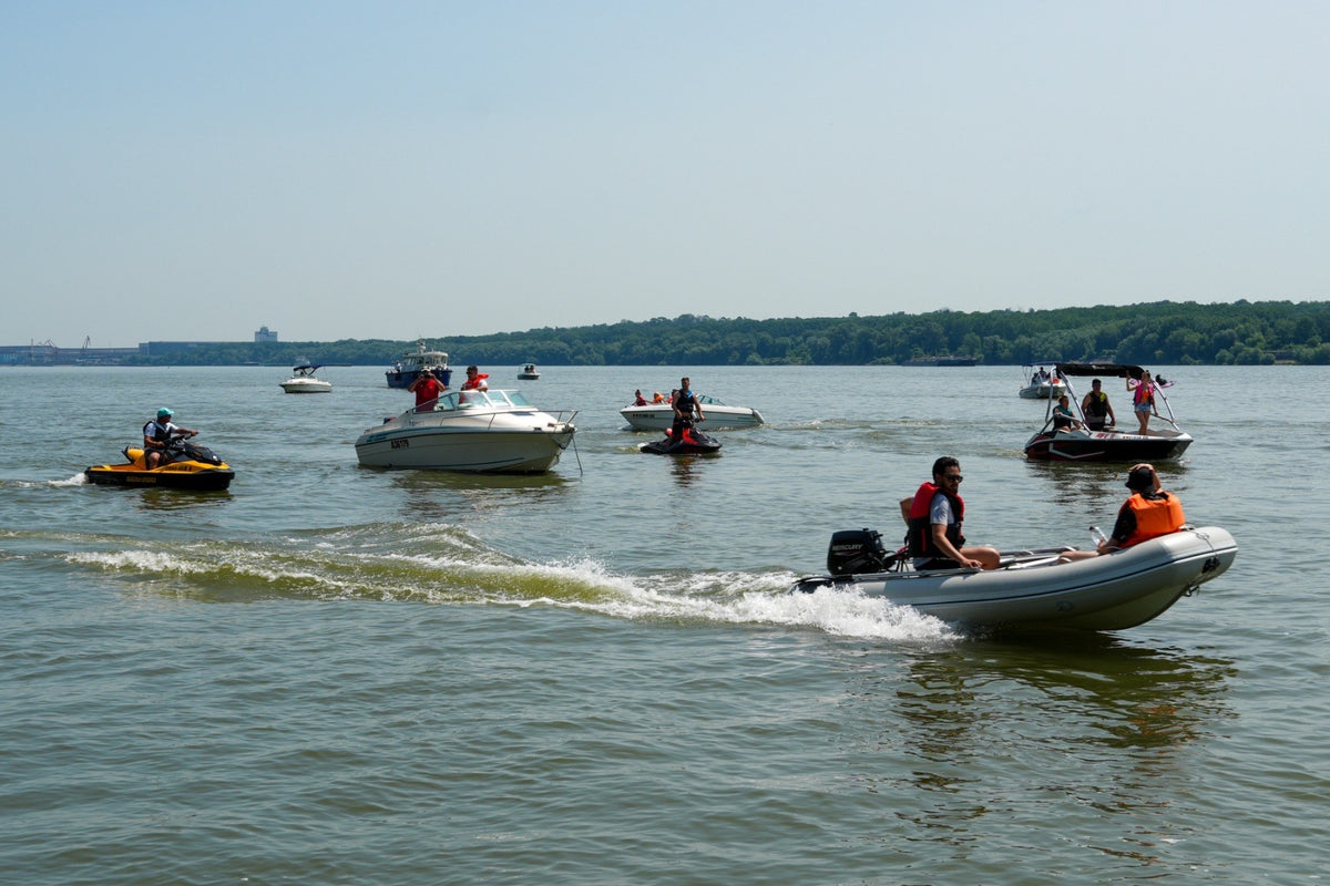 "Danube Parade - two flags, one river"